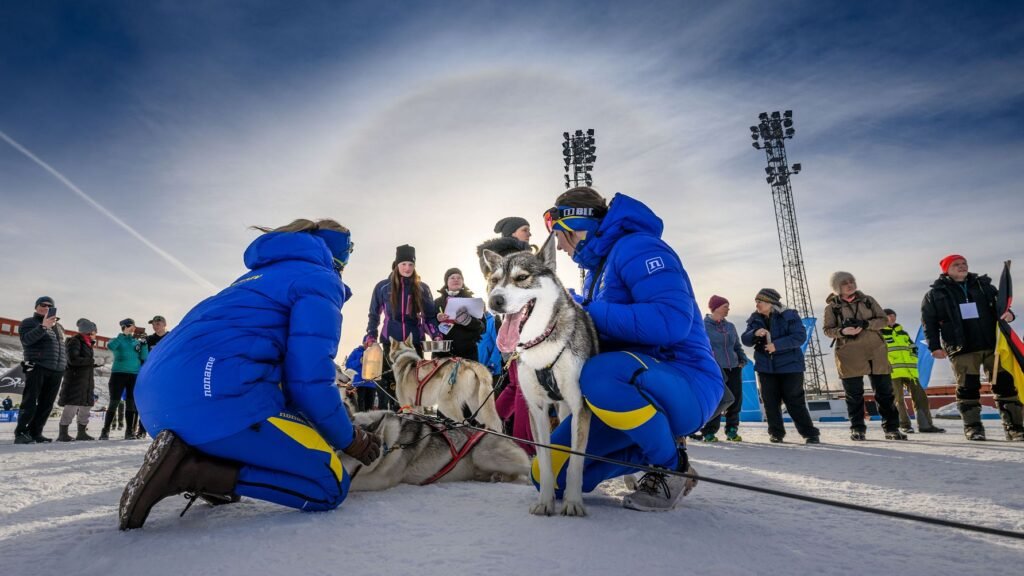 Draghunds-VM 2025 intar Östersund 7-9 februari